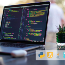 Top 5 Programming Languages